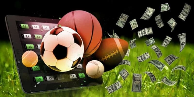 Lý Do Nên Chọn Thể Thao Max88 Lý Do Nên Chọn Thể Thao Max88